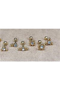 TAKIDAN 6lı Tek Taş Gold Cerrahi Çelik Kıkırdak Piercing Set