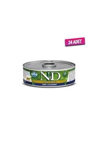 N&D 24 Adet - Prime Kuzu Etli Ve Yaban Mersinli Kedi Konservesi 80 Gr