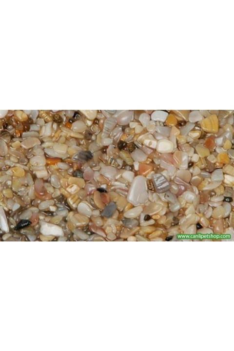 Ilgın 'ın Pet Dünyası Doğal Midye Kırığı Akvaryum Kumu 4-6mm