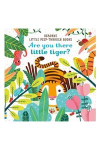 Usborne Are You There Little Tiger