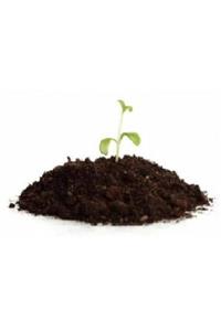 agrobit cat Esse Kaktüs Lithops Ve Succul Toprağı 3'lü Karışım 2'li 20 lt