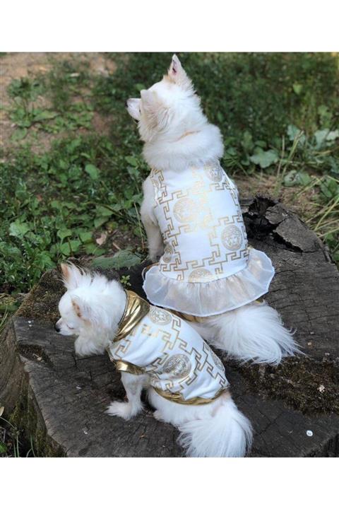 JackBoss V Elbise Kedi Köpek Elbisesi