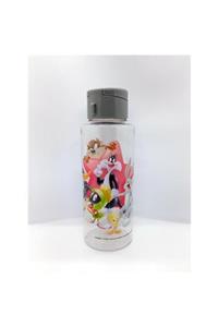 Transformacion Kaktüskedi Looney Tunes Karakterleri 400 ml Çocuk Matarası 715055