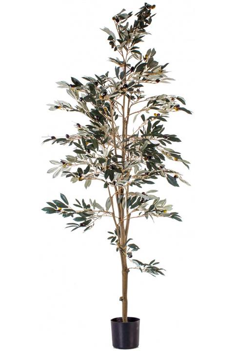 Euro Flora Dekoratif Zeytin Ağacı Yapay 210 cm