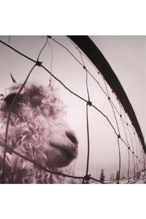 İdegoİlkim Pearl Jam - Vs. (vinyl Edition Remastered) - Plak