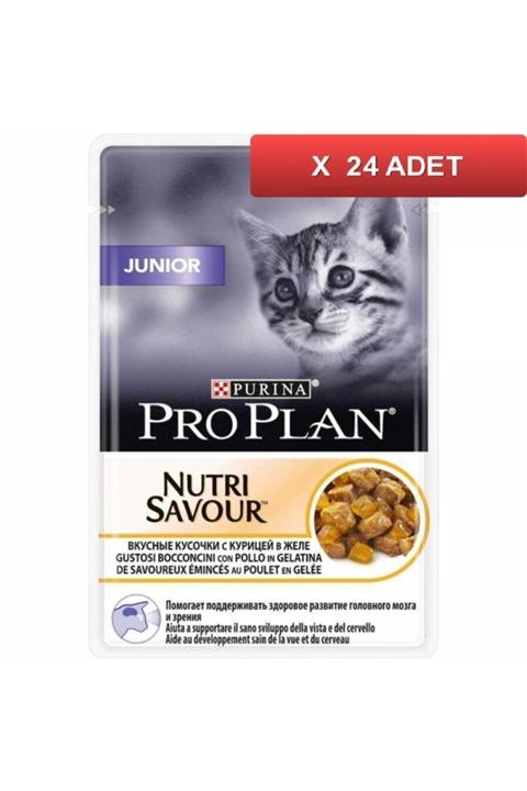 Proplan Pouch Junior Tavuklu Yaş Kedi Maması 85 Gr (24 Tane)
