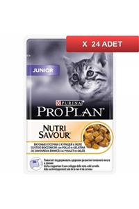 Proplan Pouch Junior Tavuklu Yaş Kedi Maması 85 Gr (24 Tane)