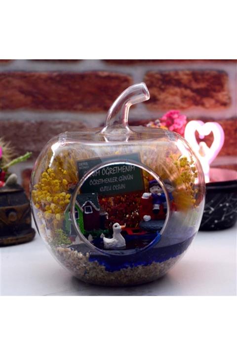 BURDANEVE Canım Öğretmenim Temalı Öğretmenler Günü Hediyesi Elma Tasarım Teraryum