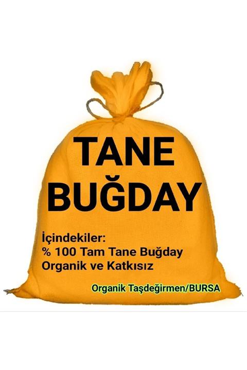 Organik Taşdeğirmen 20 Kg Yemlik Buğday Tane Buğday Güvercin Yemi Kuş Yemi Tavuk Yemi