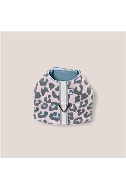 The Little Company Fancy Harness