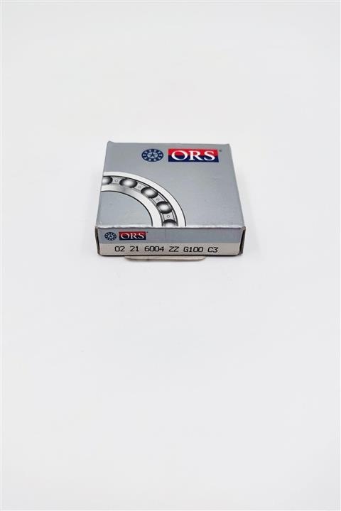 ORS 6004 Zz Rulman