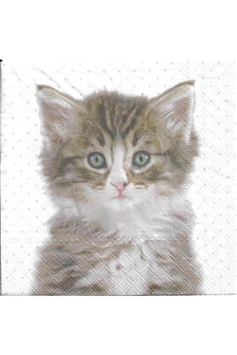 Stewo Kedi Desenli Peçete