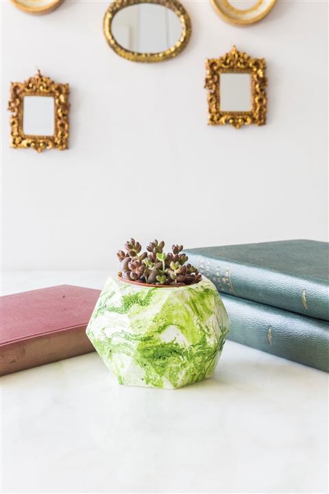 Arma House Yeşil Mermer Desenli Beton Saksılı Sukulent