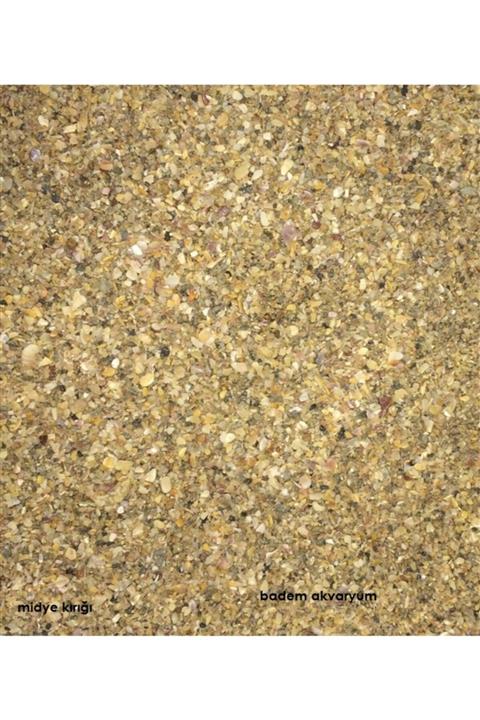 Badem Akvaryum Akvaryum Midye Kırığı Kumu 1 Kg Doğal Midye Kırığı Kumu