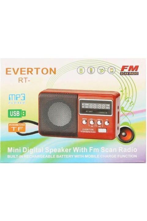 ozgurpazar Everton Rt-303 Usb Ve Micro Kart Girişli Manuel El Radyosu