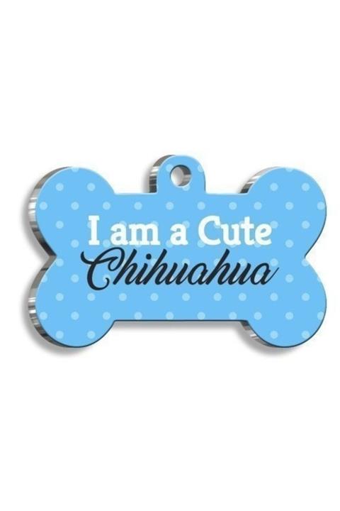 altın pati Chihuahua Mavi Kemik Şekilli Köpek Künyesi