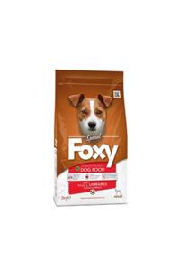 Foxy 25/15 Kuzu Etli Yetişkin Köpek Maması 3 Kg