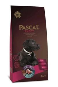 Pascal Puppy Köpek Mama 3 Kg