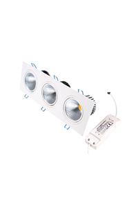 Horoz 3x10 Watt Cob Led Spot, Beyaz Işık 30 Watt Hareketli Spot Güçlü Parlak Işık