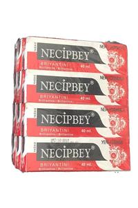 NECİPBEY Briyantin Yağsız - Kırmızı 40 Ml. 12'li Paket