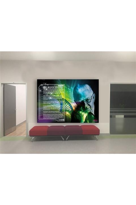 okul posterleri Prof. Dr. Oktay Sinanoğlu Posteri