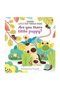 Usborne Are You There Little Puppy