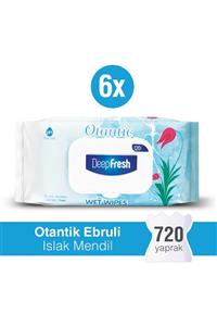 Deep Fresh Otantik Islak Mendil Ebruli 6 x 120 Yaprak