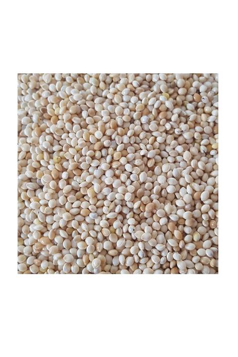 Şafak Sade Ak Darı Kuş Yemi 2 Kg