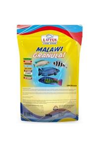 Lotus Malawi Granulat 1 Kg Balık Yemi