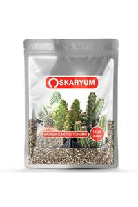 OSKARYUM Karışık Kaktüs Tohumu