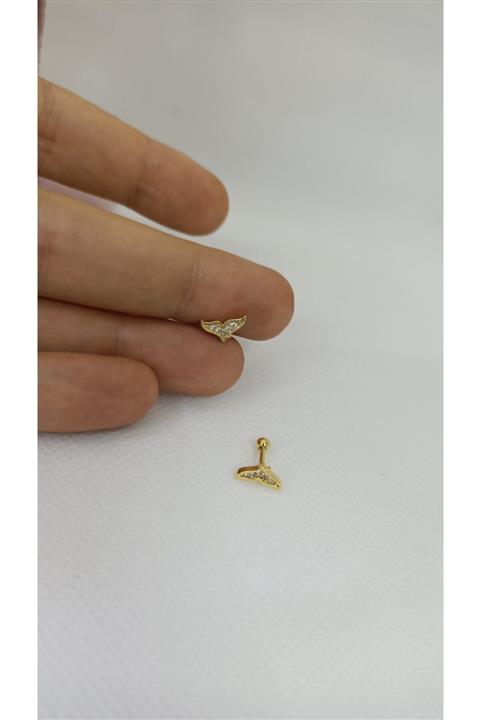 Arescollection Çelik Balina Kuyruğu Tragus Piercing