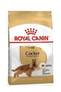 Royal Canin Cocker Adult Yetişkin Köpek Maması 3kg Skt 31.03.2021