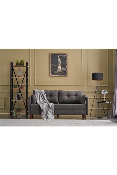 Evdebiz Antrasit Kanepe