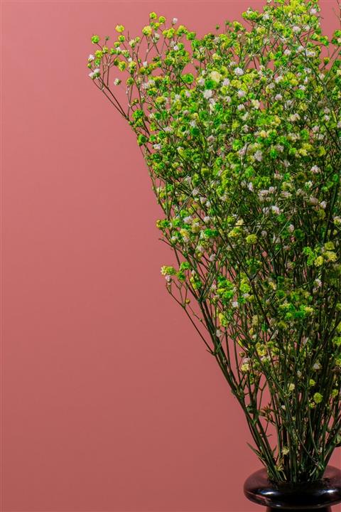 YAPAY ÇİÇEKÇİNİZ Şoklanmış Cipso Demeti Yeşil