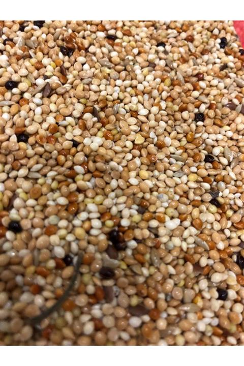 Vivid Kuşu Yemi 1kg