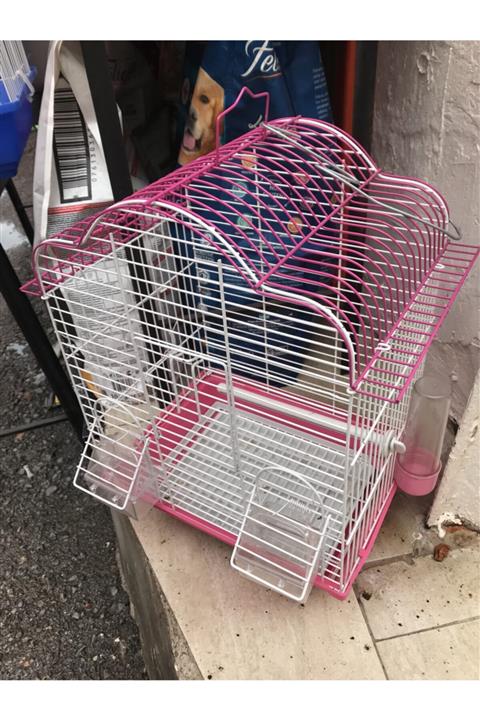 Sevda’nın Yeri Kafes