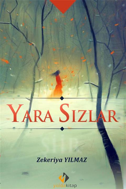 Yolda Kitap Yara Sızlar