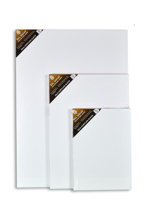 BAL SANAT Profesyonel Tuval Arkadan Zımbalı 80x135