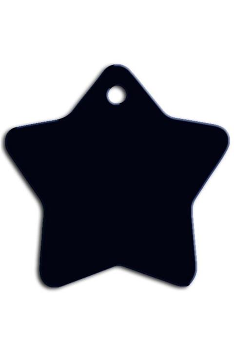 altın pati Büyük Yıldız Kedi Künyesi Siyah