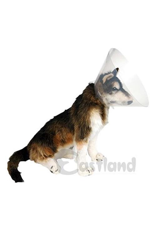 Eastland Yakalık ( Elizabet ) 20 Cm