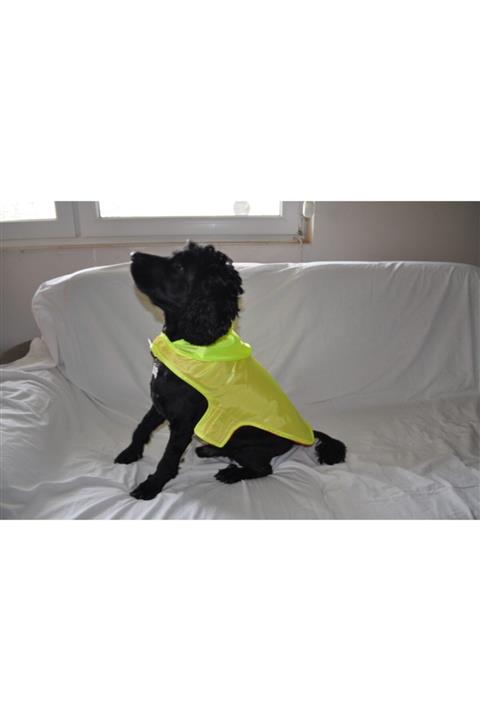 happygiyim Kedi - Köpek Kapşonlu Sarı Yağmurluk