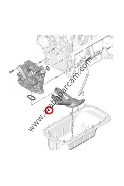 OEM Peugeot 206/207/307/bipper/nemo 1.4 Dizel 1.6 Dizel Yağ Pompa Süzgeci 1018.66
