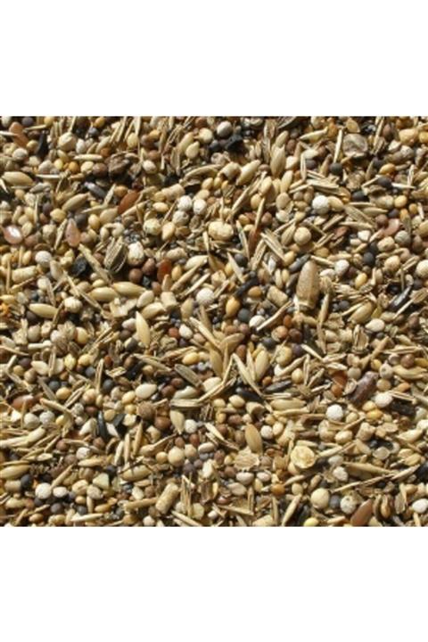 İKSİR PROF Yabani Tohumlar 1 Kg