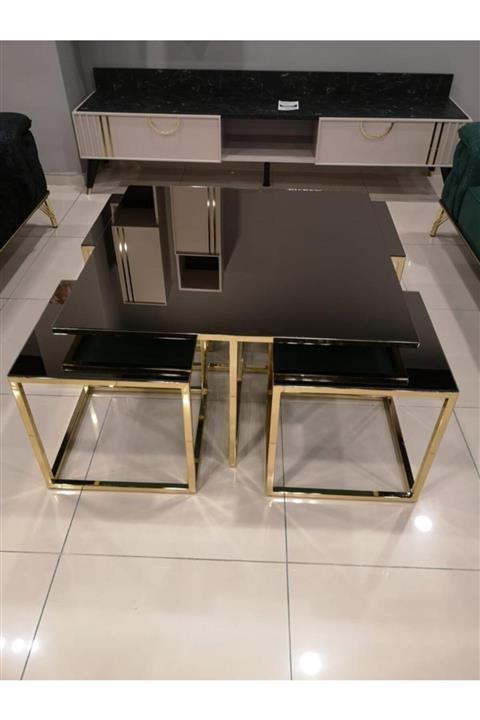 ERKAN GRUP MOBİLYA Orta Sehpa Altın Metal Ayak