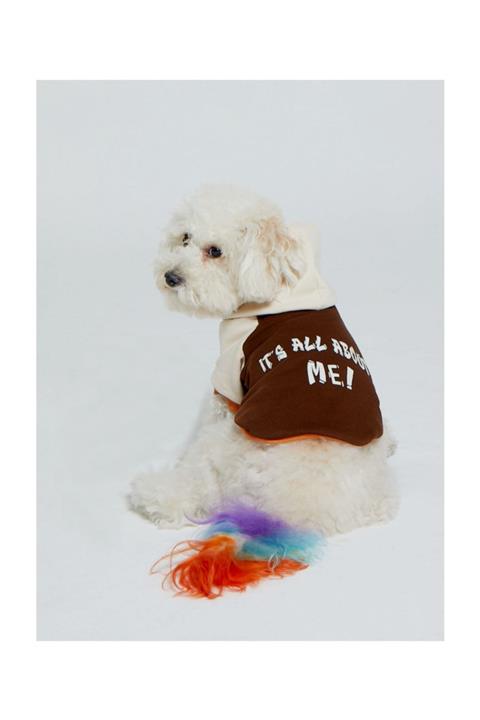 Ponchic Baskılı Kapşonlu Köpek/Kedi Sweatshirt