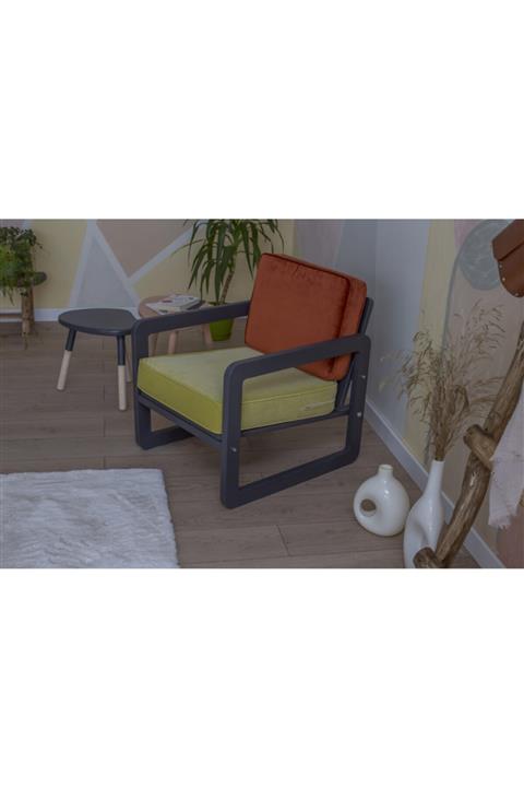 Quppa Home Yepyeni Iskandınav Berjer Tekli Koltuk  Renkli Tekli Berjer