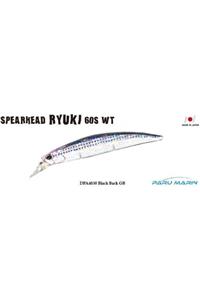 Duo Spearhead Ryuki 60s Sw Dpa4030 / Black Back Gb