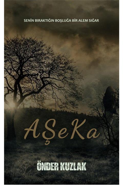 mst yayınları Aşeka