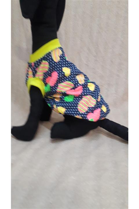 Ülkü Gülşah Belet Kedi Köpek Icin Süveter