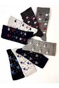 Black Arden Socks Pamuklu 8'li Karışık Renkli Kadın Çorap Bt-0115